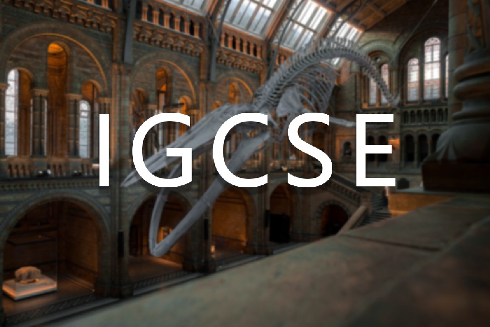 IGCSE